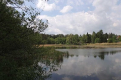 dscn5817