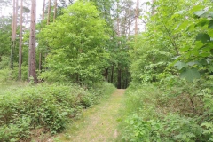 dscn5821