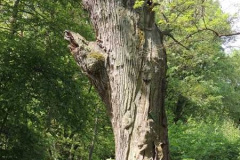 dscn5832