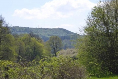 p1010529
