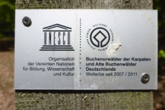 p1010550