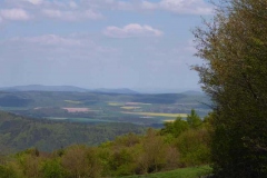 p1010552