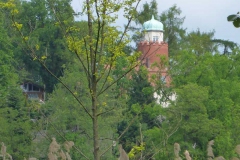 p1010887