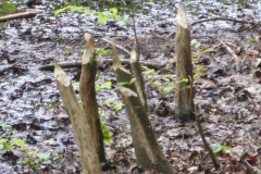 p1010896