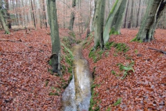 211110dannenwalde_zehdenick_10 211110dannenwalde_zehdenick_10