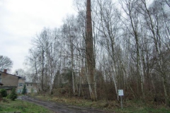 211110dannenwalde_zehdenick_41