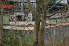 211110dannenwalde_zehdenick_47