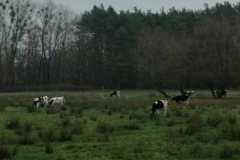 211110dannenwalde_zehdenick_56