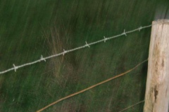 211110dannenwalde_zehdenick_57