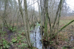 211110dannenwalde_zehdenick_8 211110dannenwalde_zehdenick_8