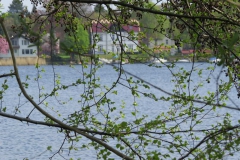 img_0185 img_0185