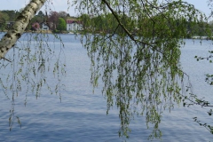 img_0190 img_0190