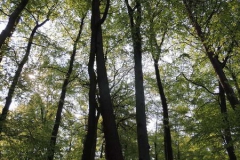 dscn3970