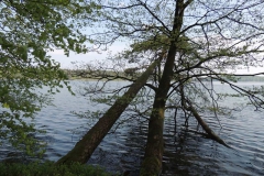 dscn3971