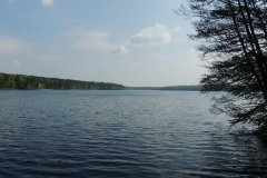 dscn3973