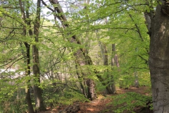dscn3975