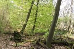dscn3978