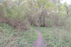 dscn3981