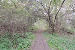 dscn3982