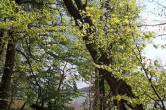 dscn3984