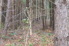 p1000163
