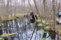p1000168