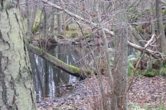 p1000170