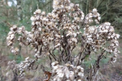 p1000201