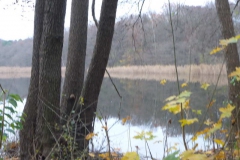 p1000207
