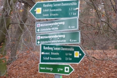 p1000216
