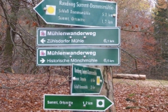p1000217