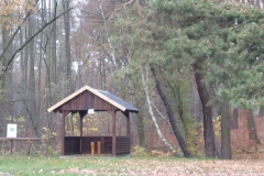 p1000224