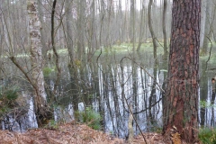 p1000239