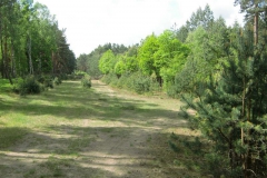 cimg3416