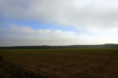 PB070006