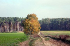 PB070009