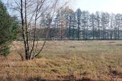 PB070013 PB070013