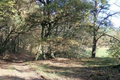 PB070014
