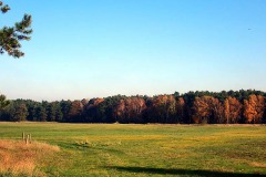 PB070019