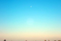 PB070047