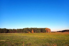 PB070058
