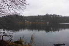 p1000365_copy