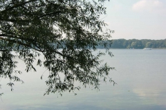cimg3164