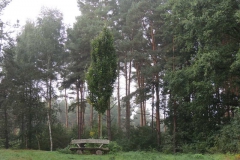 dscn3502