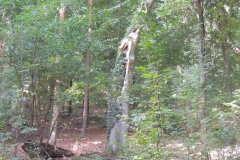 dscn3503