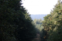 dscn3508