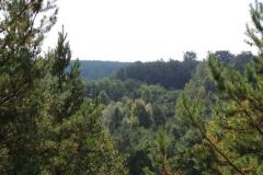 dscn3523