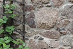 dscn1513