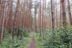 dscn1522