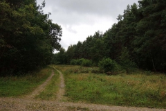 dscn1524